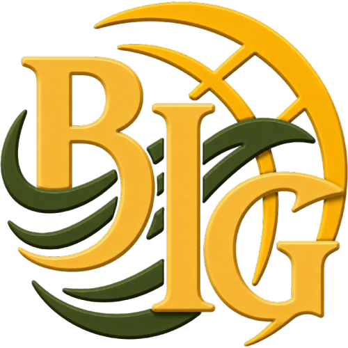 PT Binaya Indie Global